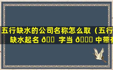 五行缺水的公司名称怎么取（五行缺水起名 🐠 字当 🐞 中带有水的字）